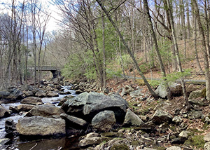 The trails follow alongside various streams