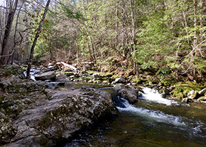 The flowing water at the Granville Gorge