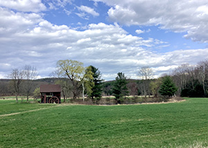 Water wheel in the meadow
